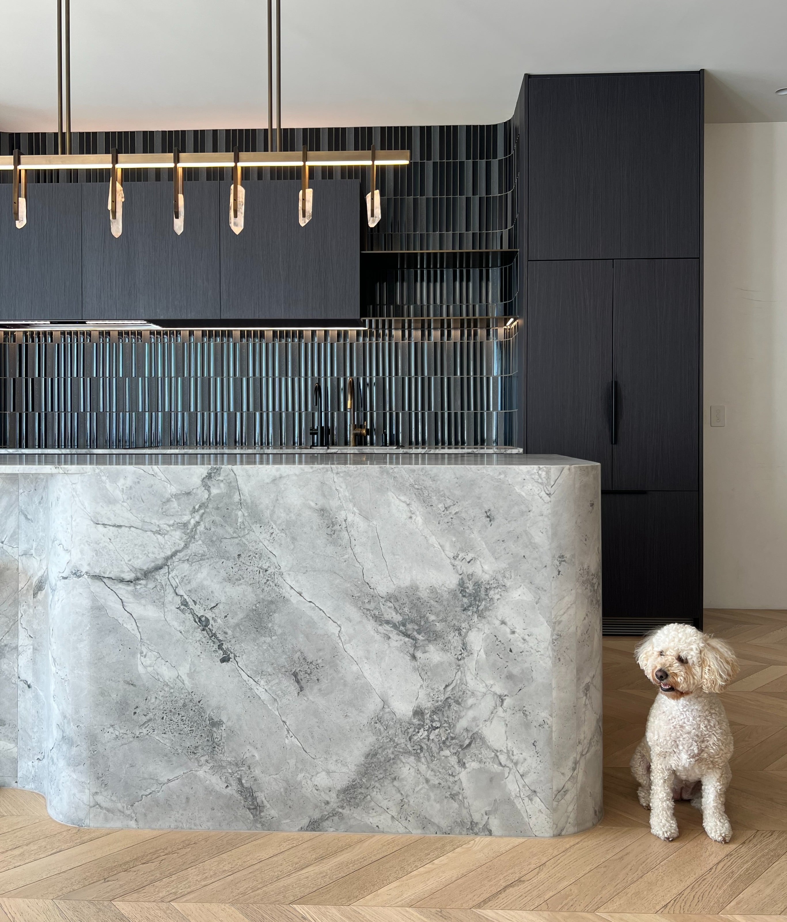 Kitchen with a curved stone island and dark timber joinery, a small cream dog sitting beside it